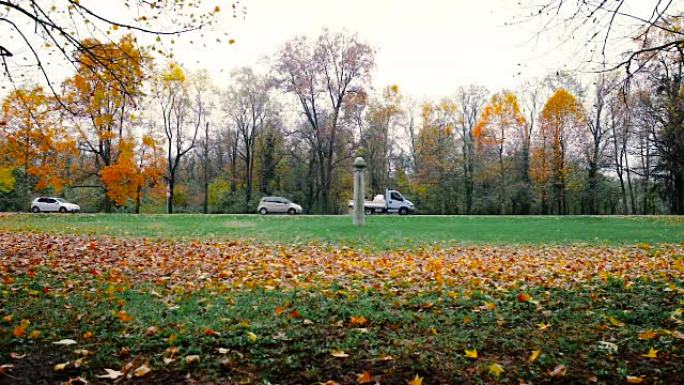 秋天，汽车在公园附近的道路上经过