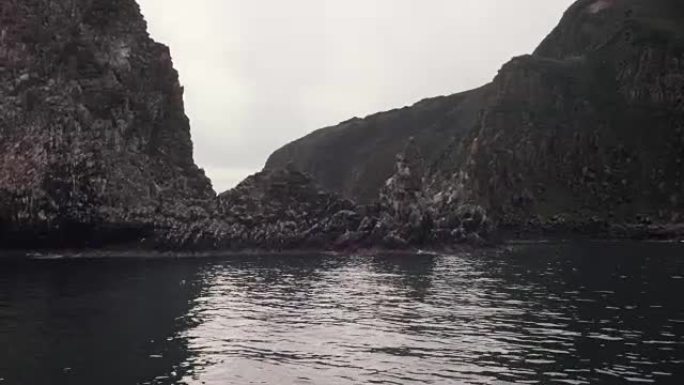 Starichkov岛特别保护的自然区域与水禽殖民地库存录像