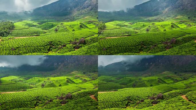 印度喀拉拉邦蒙纳尔绿茶种植园的全高清延时