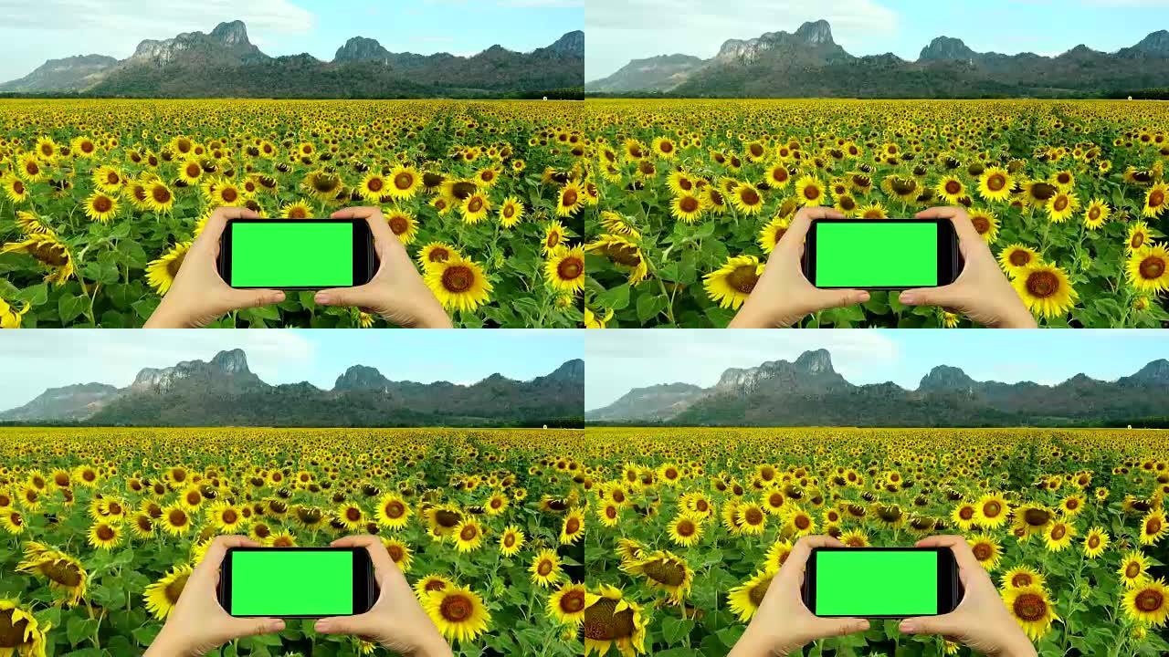 用绿屏显示的智能手机拍摄大自然的视频