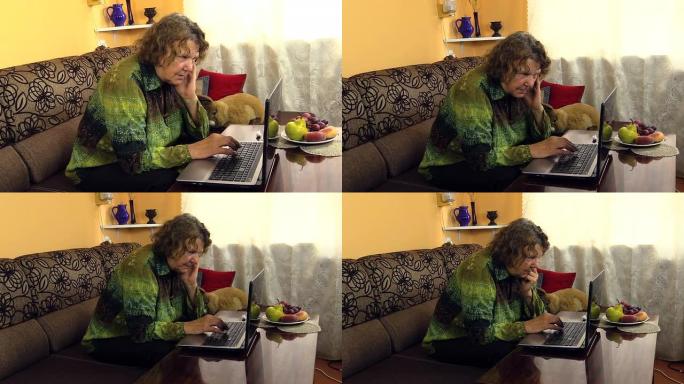 老奶奶妇女在家用笔记本电脑工作