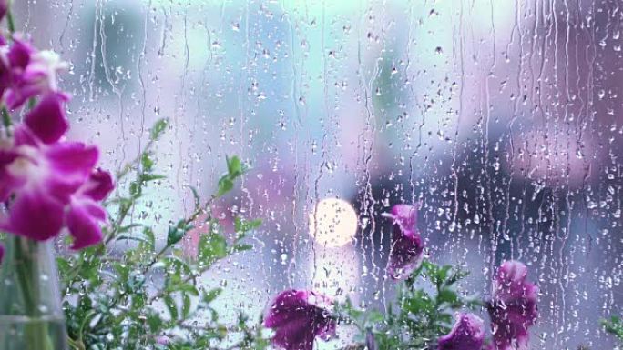 潮湿的窗户后面有美丽的紫色花朵，雨滴，模糊的街道波克。概念春天的天气，季节，现代城市的生活方式