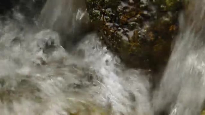 森林中的山河瀑布。带音轨的媒体