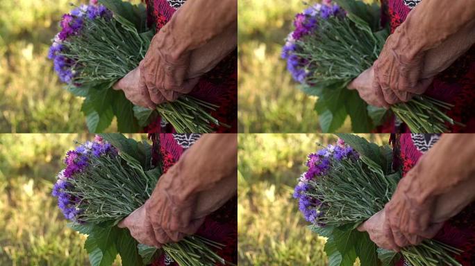 皱巴巴的手爷爷奶奶用鲜花，特写。