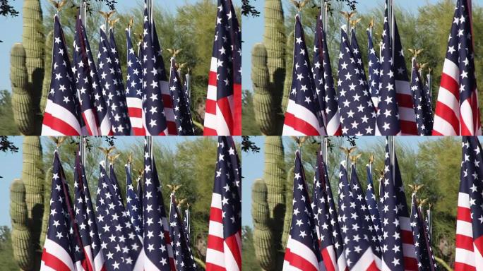 美国国旗在沙漠中飘扬