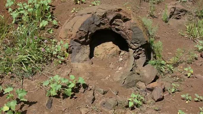 在俄罗斯伏尔加格勒地区Wet Olhovka Kotovo区的村庄附近发现了尸检空心石灰的形状像恐龙