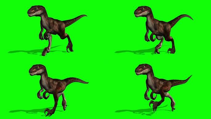 迅猛龙恐龙奔跑-绿色屏幕