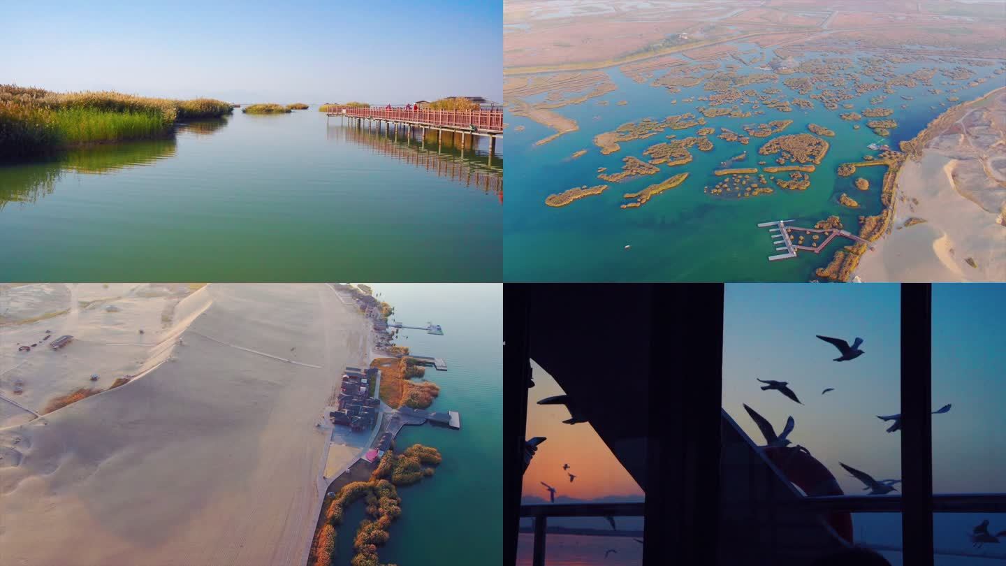 银川沙湖湿地地貌航拍合集视频素材高质量