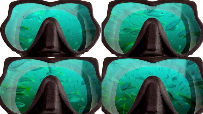浮潜潜水的面具眼镜中反映了大量的热带鱼