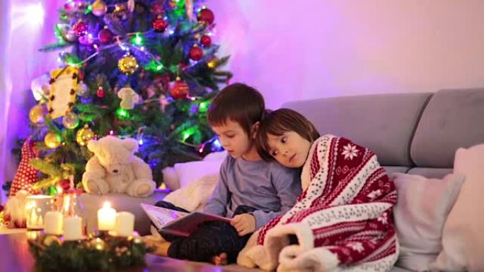 两个可爱的孩子，男孩兄弟，在第一个降临节周日在毯子下看书，在他们身后的圣诞树