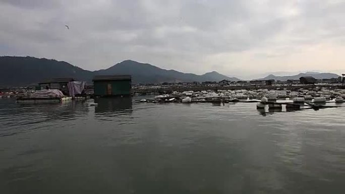 福建霞浦，农民在海边养殖鲍鱼，在水中放入大量笼子。他们生活在海面上。