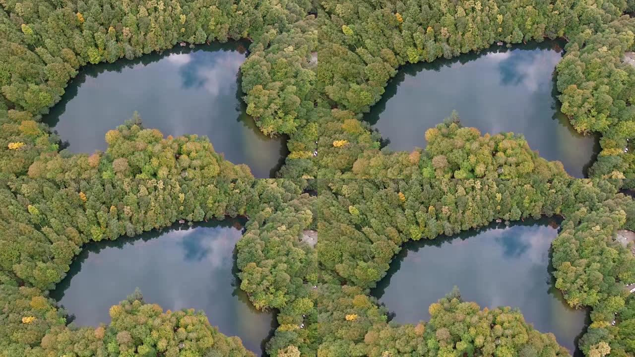 美丽的湖泊和松林的鸟瞰图