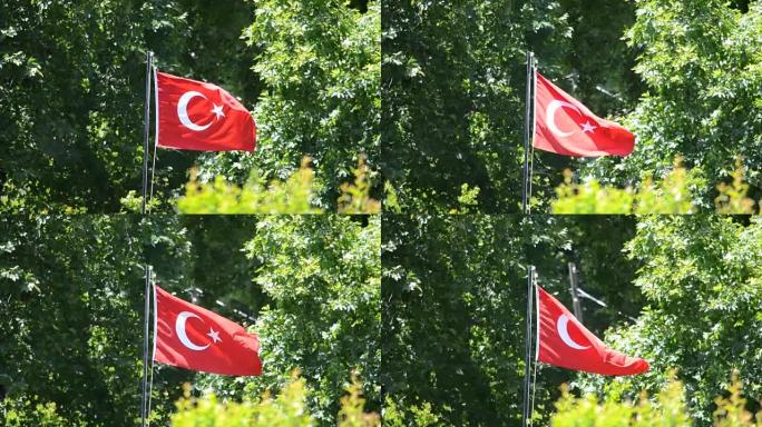 在阳光明媚的蓝天下挥舞着土耳其国旗
