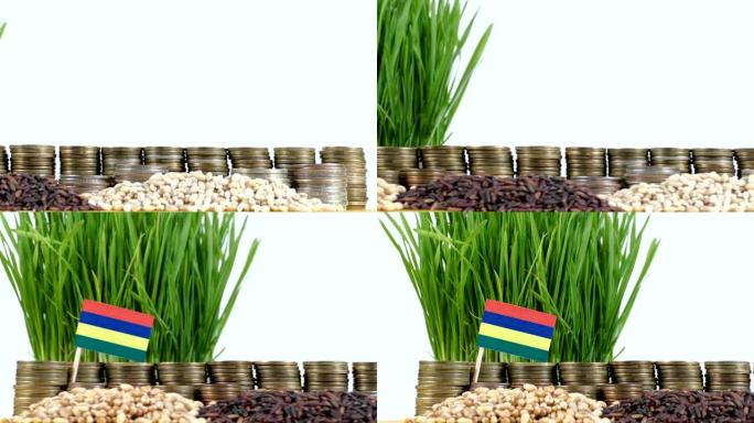 毛里求斯国旗挥舞着一堆硬币和一堆小麦