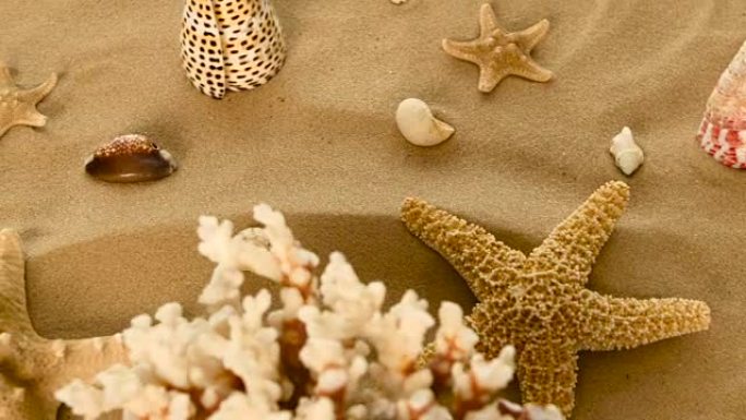 珊瑚，贝壳，沙滩上的海星，旋转，特写