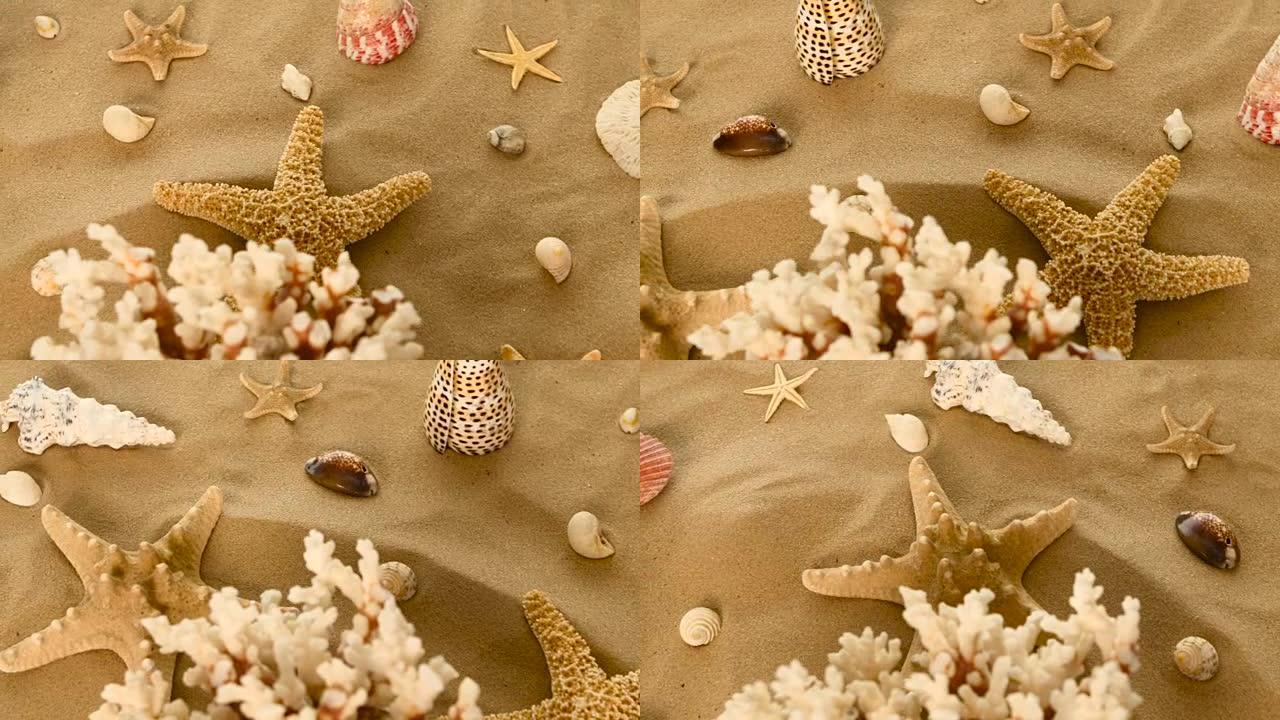 珊瑚，贝壳，沙滩上的海星，旋转，特写