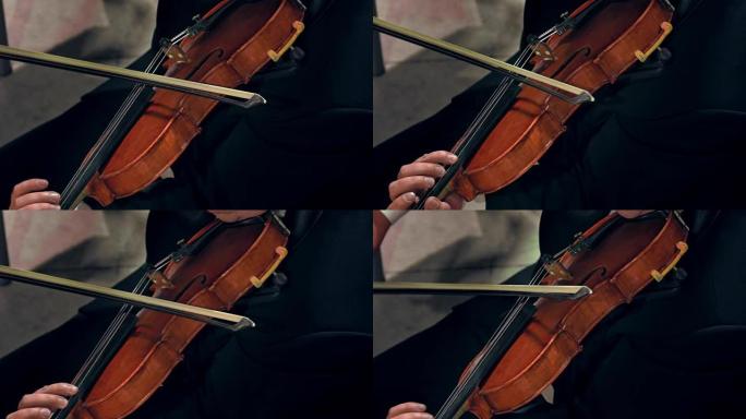 小提琴手演奏/小提琴演奏者/乐团音乐家