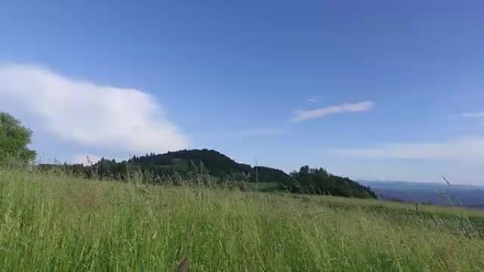 在夏天的草地上，用相机在高高的草丛之间移动。