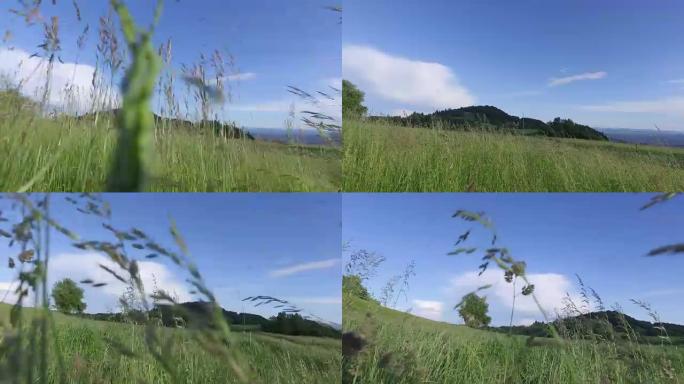 在夏天的草地上，用相机在高高的草丛之间移动。