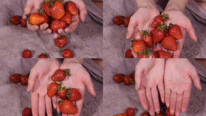 草莓零食配酸奶、停止动作准备和吃高清