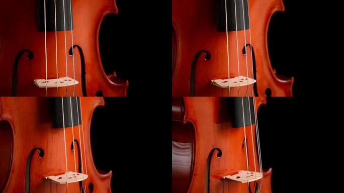 黑色背景下的小提琴或中提琴旋转