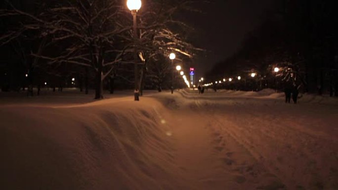 冬天的公园在晚上被一排灯覆盖着雪