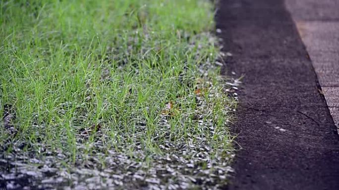 大雨水滴落在花园石砌路面上