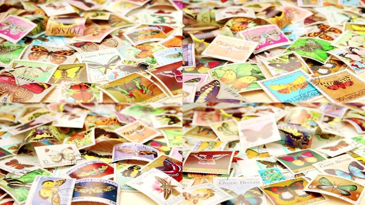 收集各种蝴蝶的邮票
