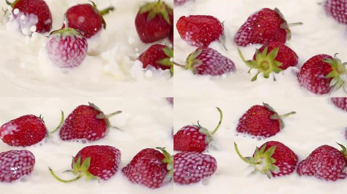 成熟的草莓落入牛奶中。