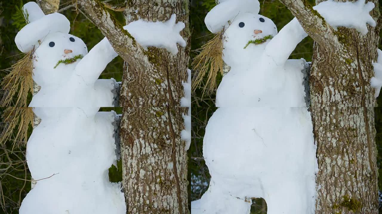 一个高大的大雪人抱着一棵树