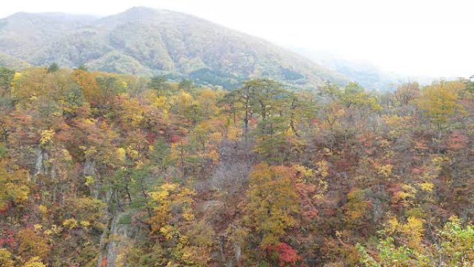 日本鸣子峡谷的秋天颜色和漂亮的蓝色和云背景