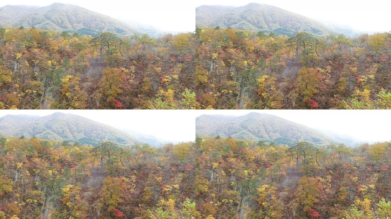 日本鸣子峡谷的秋天颜色和漂亮的蓝色和云背景