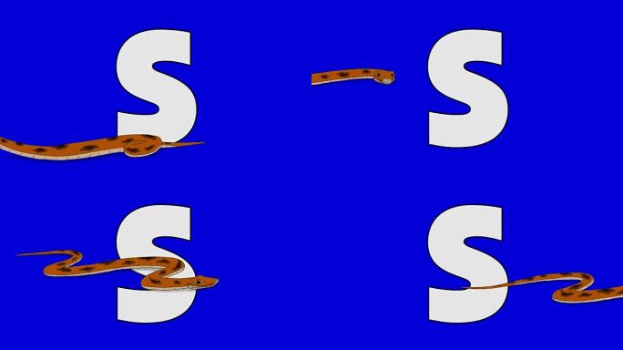 字母S和蛇 (前景)