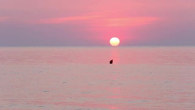 太阳升起在地平线和粉红色的海面上。