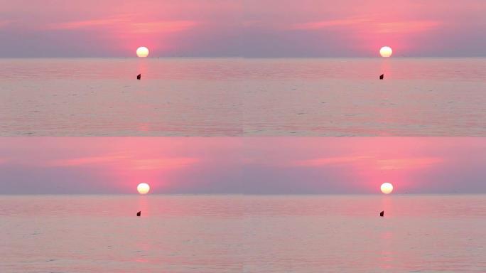 太阳升起在地平线和粉红色的海面上。