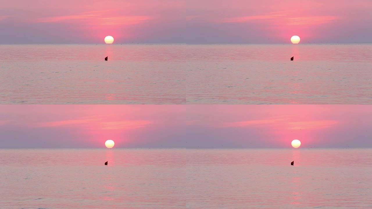 太阳升起在地平线和粉红色的海面上。