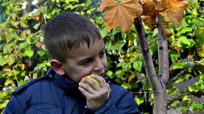 男孩在吃苹果。苹果咬的几个片段中的帅哥蒙太奇