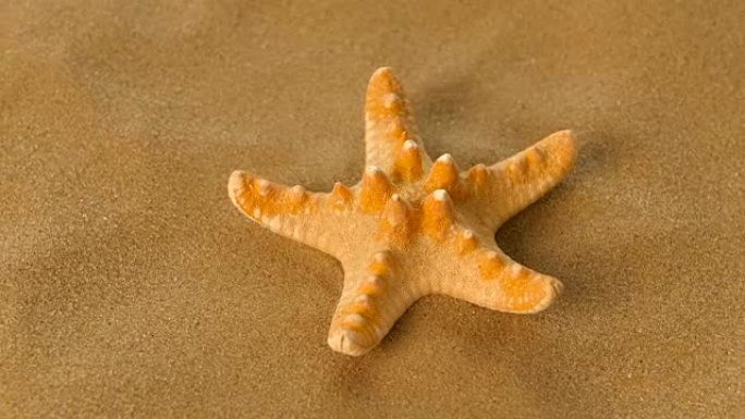 沙滩上的小海星，旋转，特写