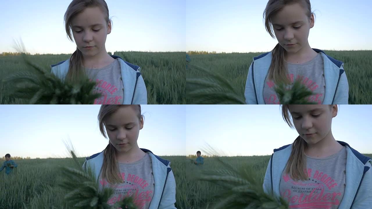 傍晚，姑娘在麦田里捡麦粒，动作缓慢