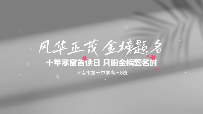 极简光影文字字幕AE模板