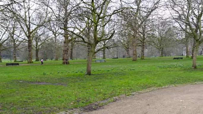 伦敦白金汉的绿色公园