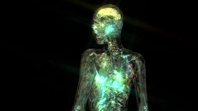 人体解剖学的数字3D动画
