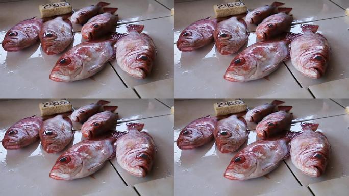 市场上的鲜鱼