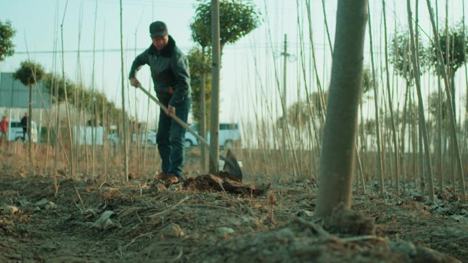 农村农民植树种树植树造林绿化新农村