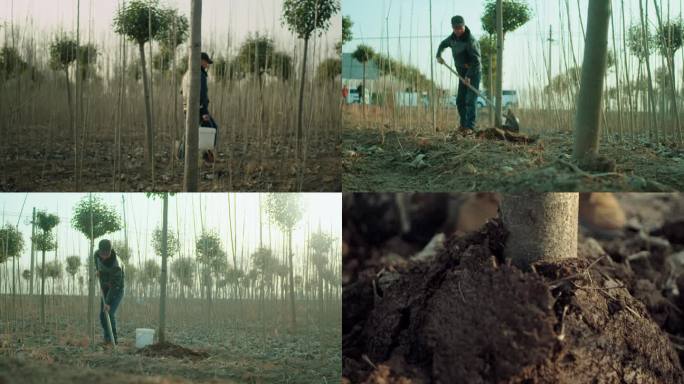 农村农民植树种树植树造林绿化新农村