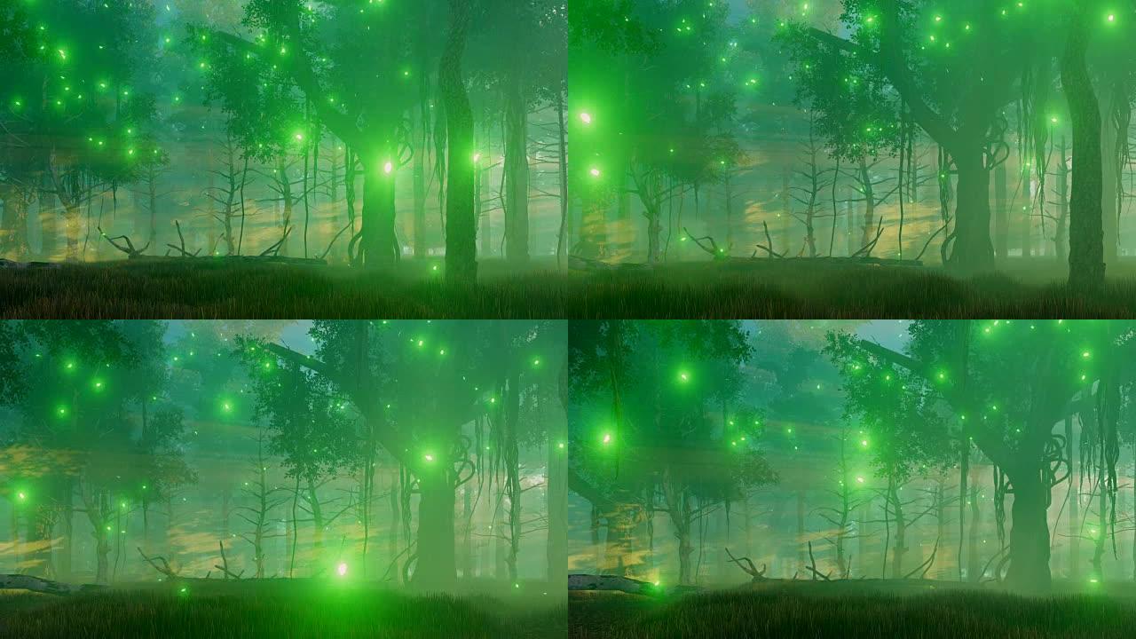 迷雾之夜的神奇森林