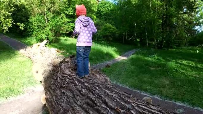 女童走在一大块木头上。