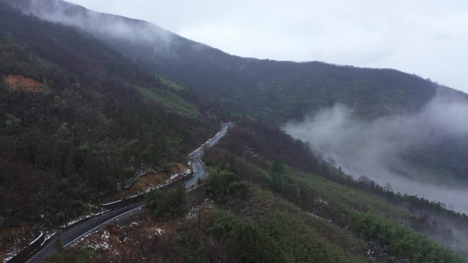 林中云雾 山 雾 森林 大雾