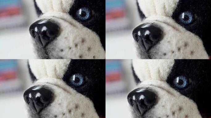 羊毛手工制作的毛绒玩具: 蓝眼睛的黑白狗，黑色鼻子