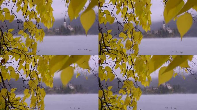 布莱德湖。秋天的树。岛屿教堂。雾